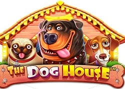 Dog House Cobra Casino Game  Cobra Casino Online